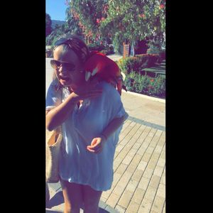 Meet your Posher, Coleen